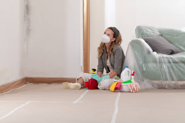 Reliable Attic Mold Removal contractor in Chester, MD by WQB Mold Removal